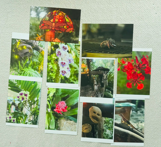 ÁURA x M&M Cabana Experience — Ritual Postcards